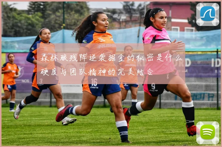 森林狼残阵逆袭掘金的秘密是什么硬度与团队精神的完美结合